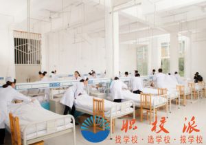 2019年四川大學(xué)附設(shè)華西衛(wèi)生學(xué)校(公辦)招生簡(jiǎn)章