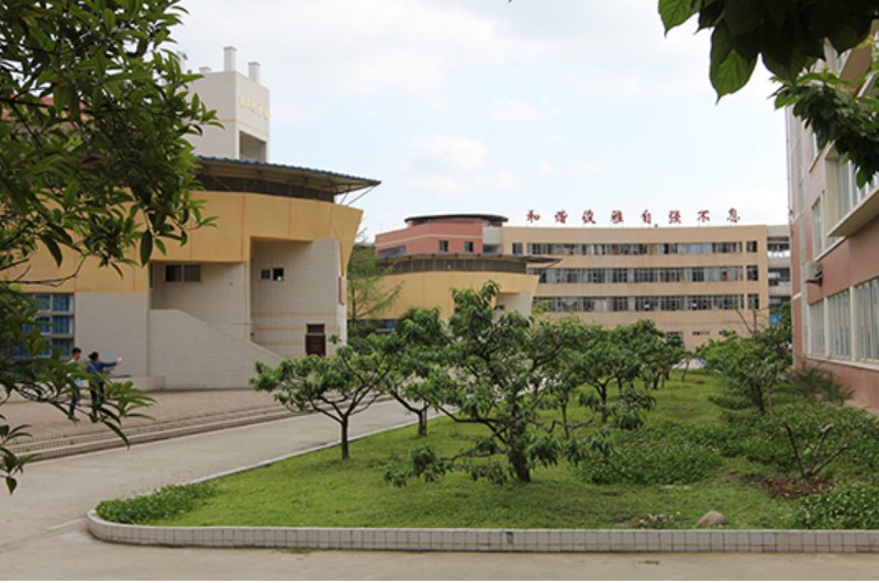 四川護(hù)理職業(yè)學(xué)院龍泉校區(qū)校園一角