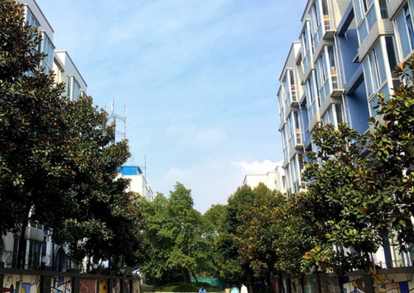 四川大學附設華西衛(wèi)生學校校園一角
