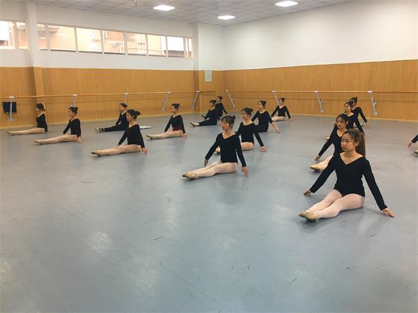成藝附中2019年招生簡章
