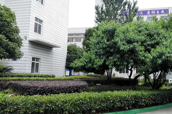 成都市中山職業(yè)技術學校2019年招生簡章