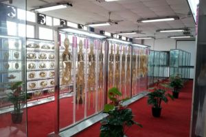 2019年四川省針灸學(xué)校招生問答—你關(guān)心的都在這里