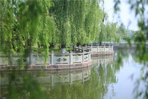 成都中職學校管理怎么樣 來看看四川旅游學校的日常管理