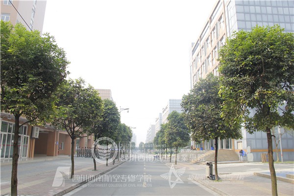 成都航空職業(yè)技術(shù)學(xué)校就業(yè)