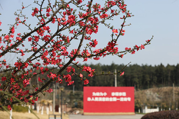 幼兒師范高等專科學(xué)校