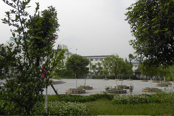 成都棠湖科學技術學校怎么樣