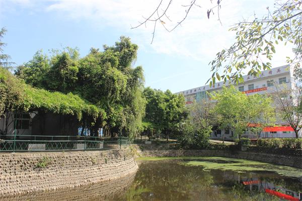 職業(yè)技術(shù)學(xué)校排名