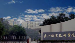 樂山職業(yè)技術(shù)學(xué)院