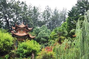 成都中專學(xué)校招生|四川師范大學(xué)幼師學(xué)院怎么樣
