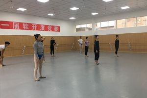 四川文化藝術(shù)學(xué)院2020年校本部考點(diǎn)藝術(shù)類專業(yè)?？脊? />              </div>
              <div   id=