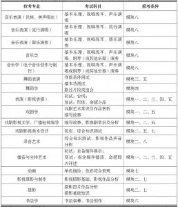 四川職業(yè)院校四川文化藝術(shù)學(xué)院2020年藝術(shù)類專業(yè)校考公告