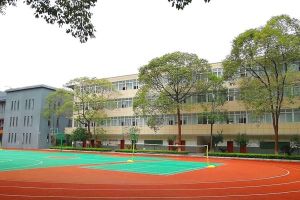 四川中職學(xué)校四川師范大學(xué)幼師學(xué)院學(xué)習冠狀病毒防控工作會