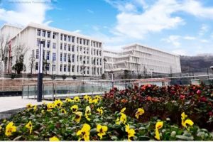 四川職業(yè)院校天府新區(qū)信息職業(yè)學院2020年高職單招章程