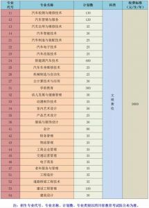 2020年成都高校四川汽車職業(yè)技術(shù)學(xué)院?jiǎn)握锌荚囶}型示例