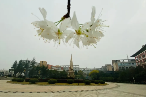 四川城市技師學(xué)院