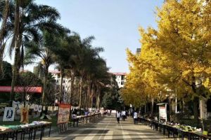 四川中職院校開(kāi)“云教研” 四川城市技師學(xué)院造“云課堂”