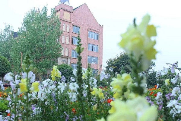 五月花學校