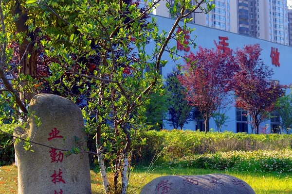成都中職學校成都電子信息學校做近期工作通報