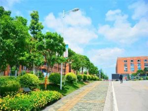 報讀四川五月花技師學院就業(yè)怎么樣呢？