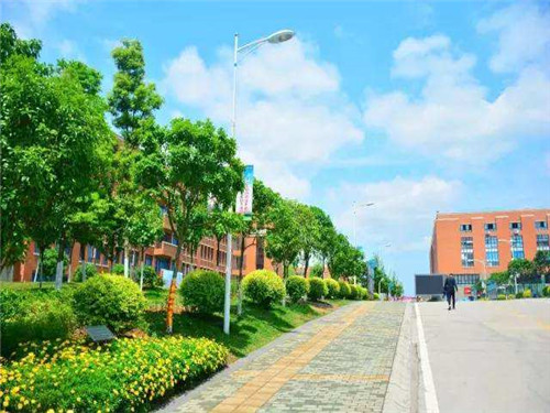 四川五月花技師學(xué)院電子商務(wù)專業(yè)就業(yè)前景怎么樣