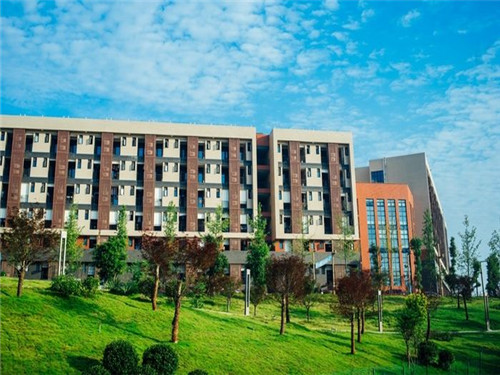 四川城市技師學(xué)院為什么可以實(shí)現(xiàn)高就業(yè)率