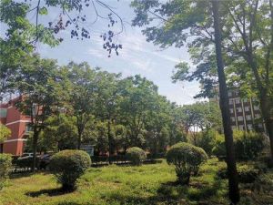 四川理工技師學院什么專業(yè)學校比較好找工作?