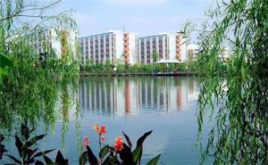 四川城市技師學(xué)院中專升大專難嗎？
