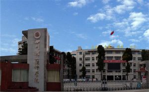 四川理工技師學院是大專嗎？