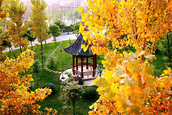 綿陽南山中學(xué)實驗學(xué)校