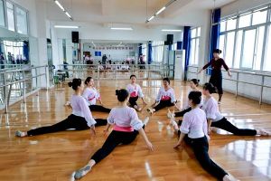 四川師范大學(xué)幼師學(xué)院招生條件_幼師學(xué)院好不好
