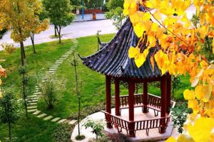 綿陽南山中學實驗學校怎么樣