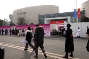 成都新格林藝術(shù)高級中學(xué)是普高嗎