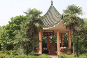 眉山工程技師學(xué)院怎么樣_是大專嗎