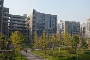 2021年成都北大青鳥學(xué)校招生簡章|招生專業(yè)