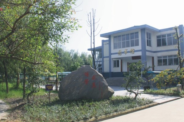 崇州市懷遠(yuǎn)中學(xué)去年普高錄取分?jǐn)?shù)線