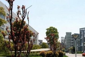 成都城市建設(shè)技工學(xué)校是公辦還是民辦_學(xué)費多少