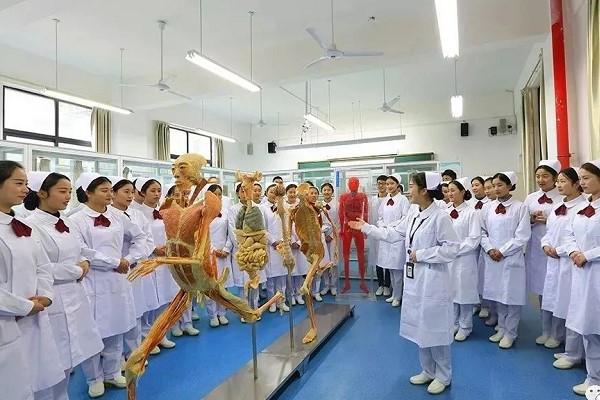 四川省經(jīng)濟(jì)管理學(xué)校護(hù)理專業(yè)好嗎