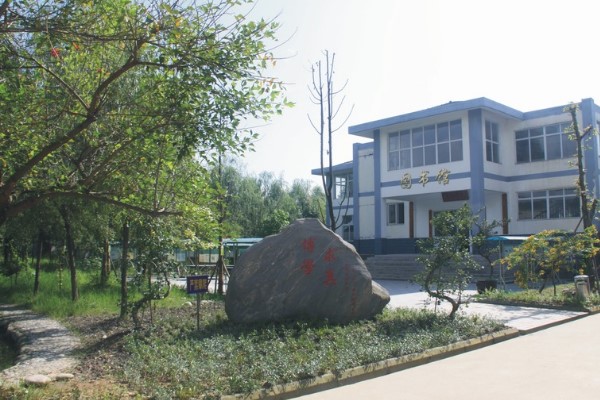 崇州懷遠中學高考成績
