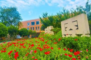 五月花學(xué)校招生電話和入學(xué)時間