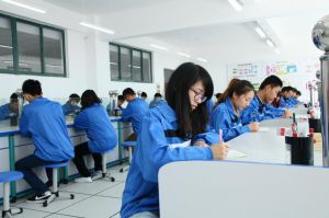 四川理工技師學院?財經(jīng)會計專業(yè)怎么樣