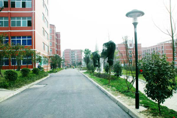 四川城市技師學(xué)院怎么樣