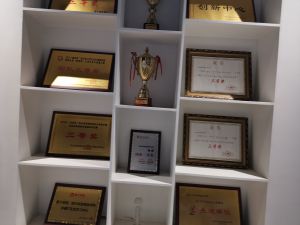 四川科技職業(yè)學(xué)院學(xué)費(fèi)多少