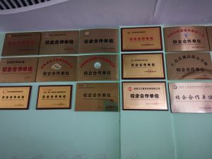 四川科技職業(yè)學(xué)院?軟件工程專業(yè)怎么樣