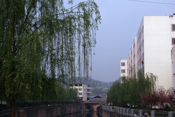 安岳實(shí)驗(yàn)中學(xué)