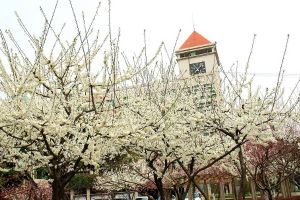 江油中學在四川排名怎么樣_學校好不好