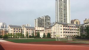 四川科技職業(yè)學院中專部都開設了哪些專業(yè)