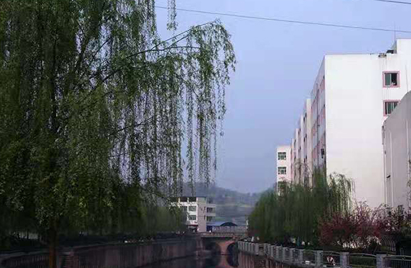 資陽安岳實(shí)驗(yàn)中學(xué).png