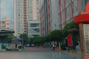 學(xué)習(xí)建設(shè)工程管理專業(yè)到四川興科城市交通技工學(xué)校