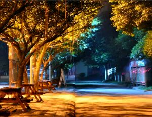 成都川科外國語學(xué)校2021年招生條件有哪些