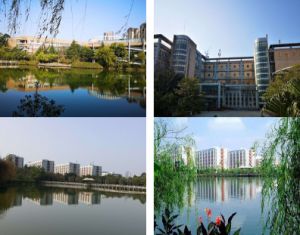 四川城市技師學院城市軌道專業(yè)發(fā)展趨勢